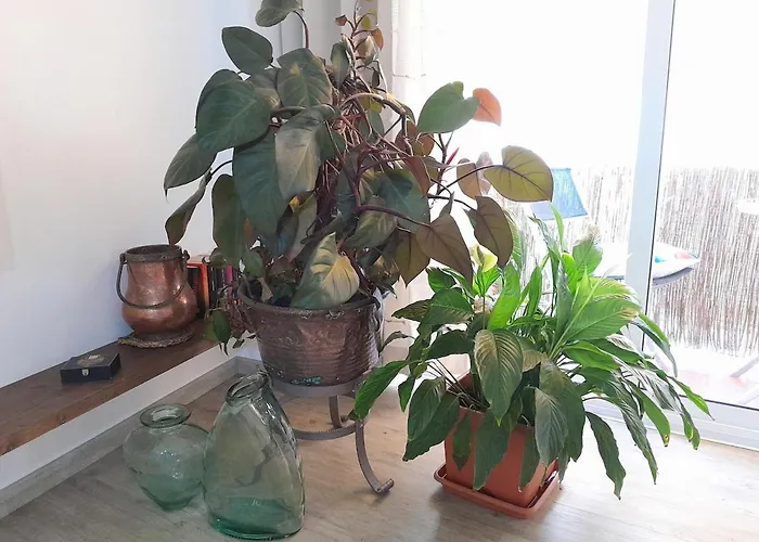 Apartment Dolce Lovely