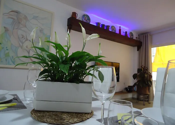 Dolce Lovely سيدجيس